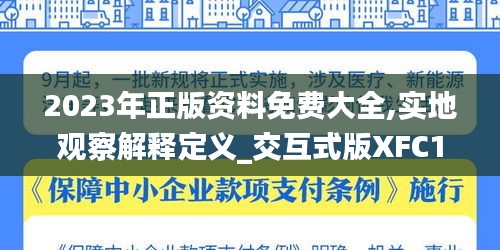 2023年正版资料免费大全,实地观察解释定义_交互式版XFC13.59