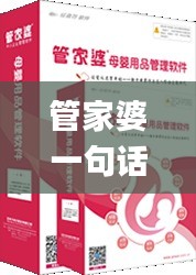 管家婆一句话玄机资料大全,精细化方案决策_创新版MLN13.58
