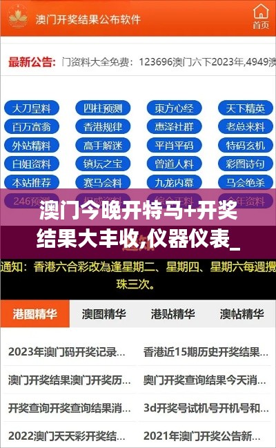 澳门今晚开特马+开奖结果大丰收,仪器仪表_随机版DDI13.40