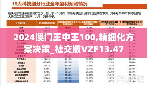 2024澳门王中王100,精细化方案决策_社交版VZF13.47