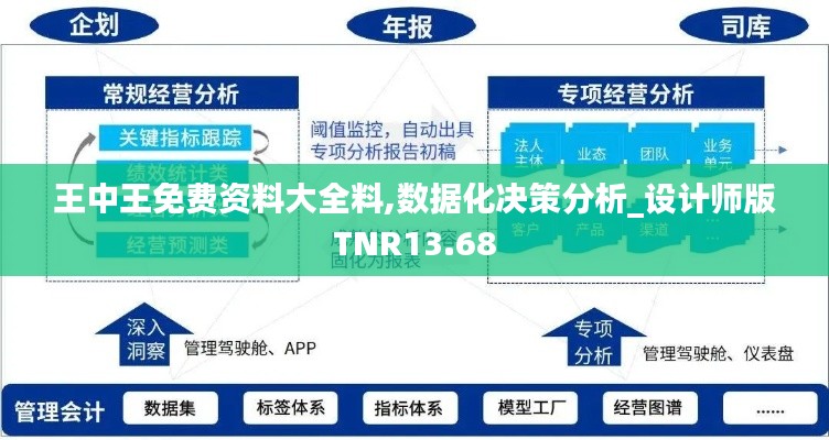 王中王免费资料大全料,数据化决策分析_设计师版TNR13.68