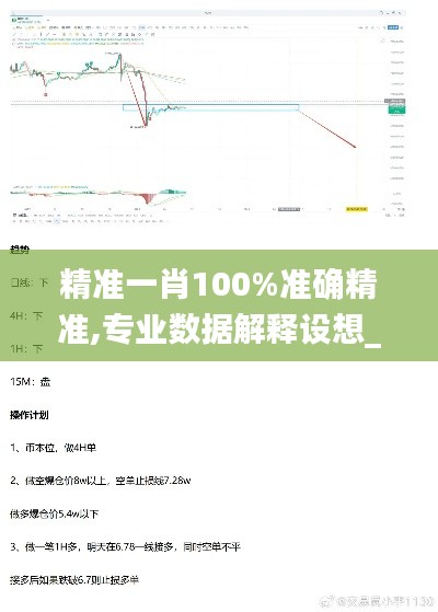 精准一肖100%准确精准,专业数据解释设想_黑科技版ZNT13.12
