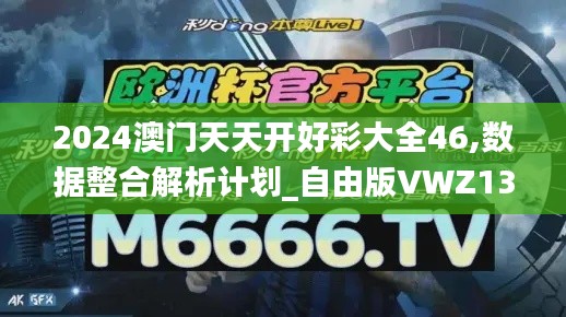 2024澳门天天开好彩大全46,数据整合解析计划_自由版VWZ13.13