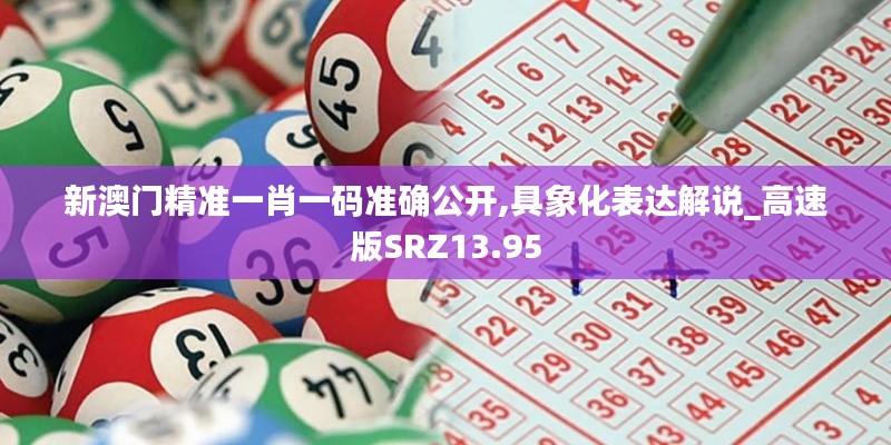 新澳门精准一肖一码准确公开,具象化表达解说_高速版SRZ13.95