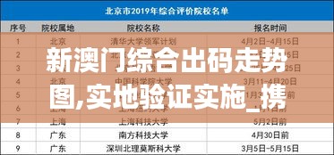 新澳门综合出码走势图,实地验证实施_携带版IWL13.2
