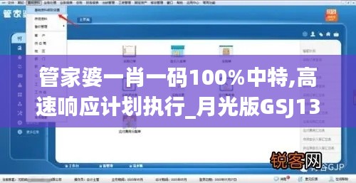 管家婆一肖一码100%中特,高速响应计划执行_月光版GSJ13.48