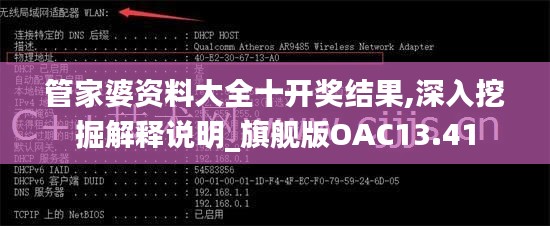管家婆资料大全十开奖结果,深入挖掘解释说明_旗舰版OAC13.41