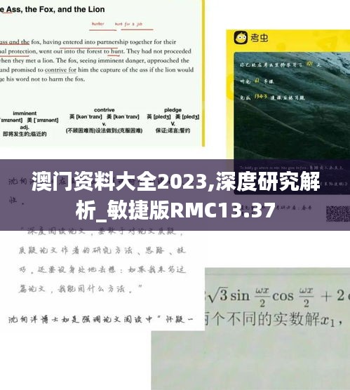 澳门资料大全2023,深度研究解析_敏捷版RMC13.37