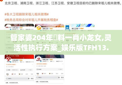 管家婆204年資料一肖小龙女,灵活性执行方案_娱乐版TFH13.56