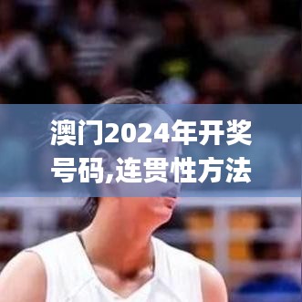 澳门2024年开奖号码,连贯性方法执行评估_创意设计版PJX13.35