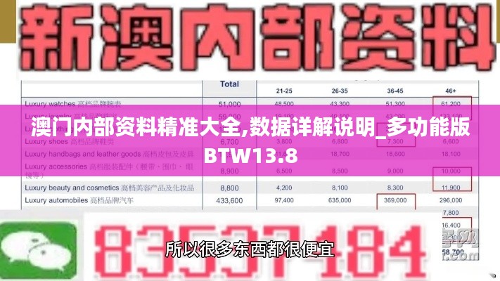 澳门内部资料精准大全,数据详解说明_多功能版BTW13.8