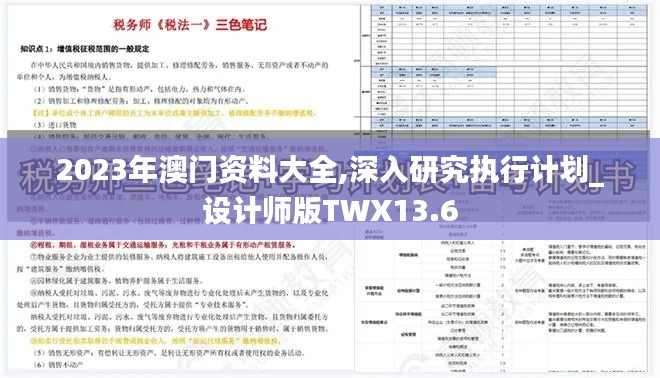 2023年澳门资料大全,深入研究执行计划_设计师版TWX13.6