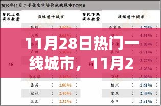 11月28日热门一线城市深度评测，产品特性、用户体验与目标用户剖析