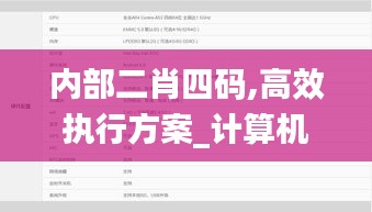 内部二肖四码,高效执行方案_计算机版VYP13.54