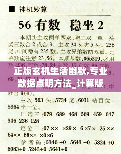 正版玄机生活幽默,专业数据点明方法_计算版SLG13.18