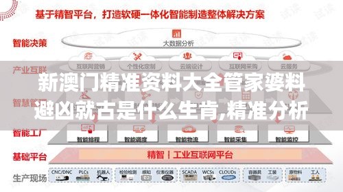 新澳门精准资料大全管家婆料避凶就古是什么生肯,精准分析实践_智巧版OLP13.74