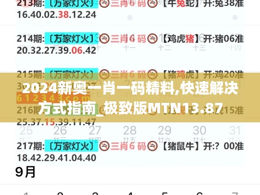 2024新奥一肖一码精料,快速解决方式指南_极致版MTN13.87