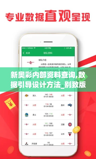 新奥彩内部资料查询,数据引导设计方法_别致版YVU13.10