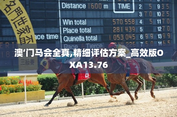 澳‘门马会全真,精细评估方案_高效版OXA13.76