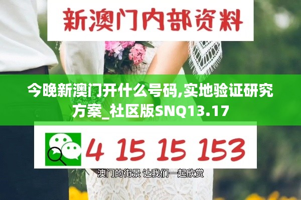 今晚新澳门开什么号码,实地验证研究方案_社区版SNQ13.17