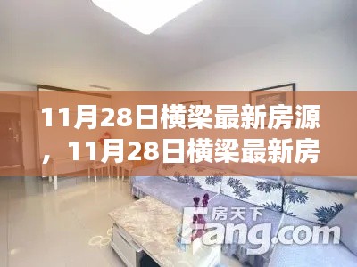 11月28日横梁最新房源全面解析，特性、体验、竞品对比与用户洞察