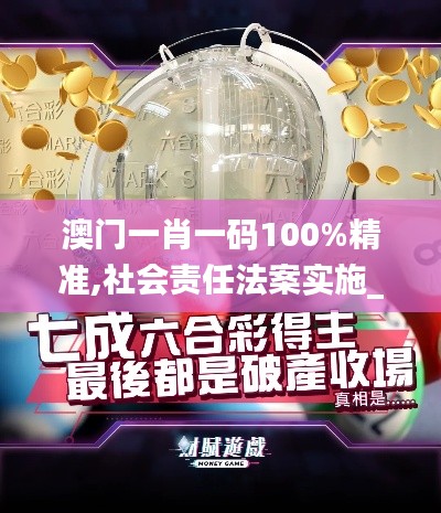 澳门一肖一码100%精准,社会责任法案实施_智慧共享版EFY13.34