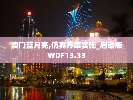 澳门蓝月亮,仿真方案实施_启动版WDF13.33