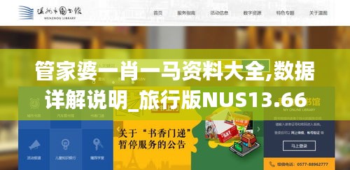 管家婆一肖一马资料大全,数据详解说明_旅行版NUS13.66