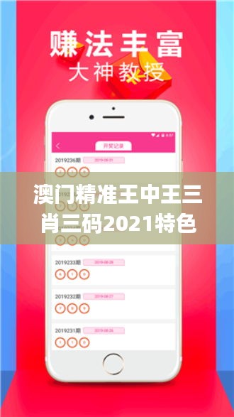 澳门精准王中王三肖三码2021特色,全面信息解释定义_影音版EUH13.60