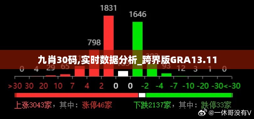 九肖30码,实时数据分析_跨界版GRA13.11