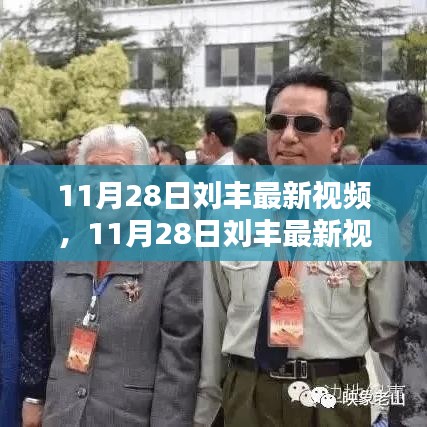 11月28日刘丰最新视频观点论述