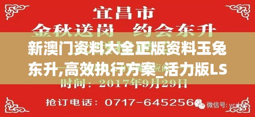 新澳门资料大全正版资料玉兔东升,高效执行方案_活力版LSM13.73