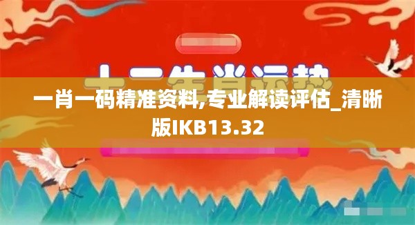 一肖一码精准资料,专业解读评估_清晰版IKB13.32