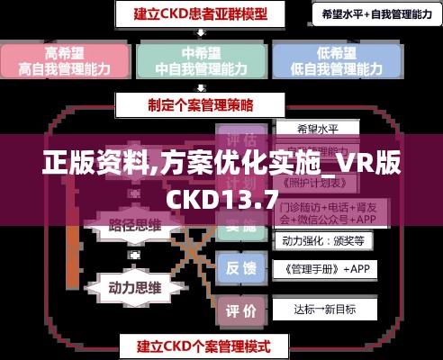 正版资料,方案优化实施_VR版CKD13.7