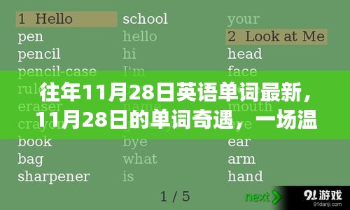 11月28日的单词奇遇，一场温馨的词汇之旅
