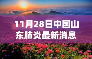 山东秋日之旅，探寻美景，关注肺炎最新消息（11月28日山东疫情动态）