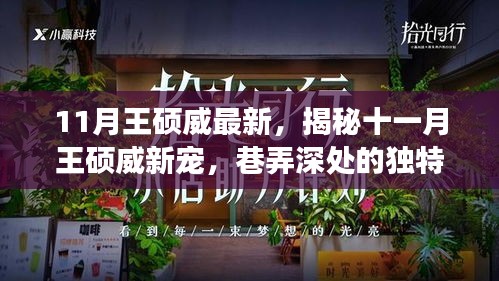 揭秘王硕威十一月新宠，巷弄深处的美味探险之旅