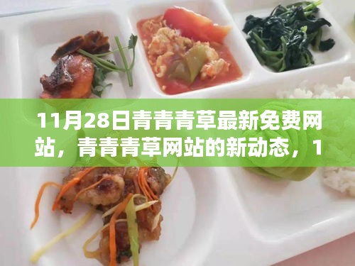 11月28日青青青草网站新动态，免费资源更新与合规性探讨