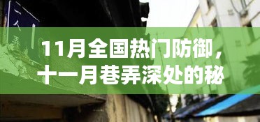 十一月巷弄深处的秘密防线，特色小店揭秘11月全国热门防御