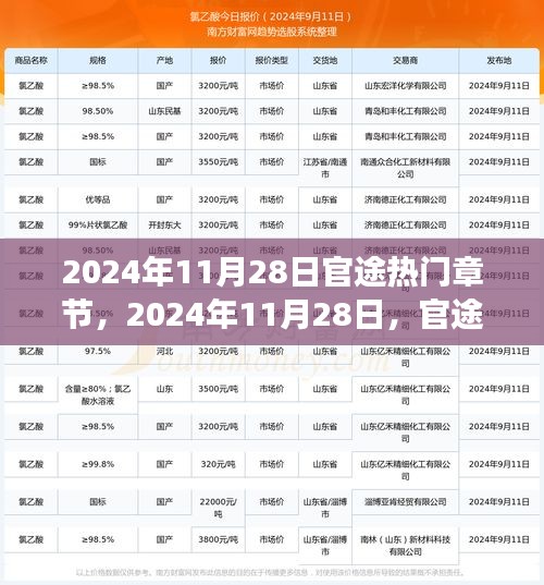 心灵归途与自然美景的邂逅，官途热门章节揭秘