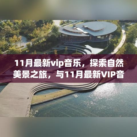 11月VIP音乐引领自然探索之旅，寻找内心的宁静与平和