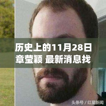 历史上的11月28日与章莹颖最新消息揭秘，事件进展全面回顾
