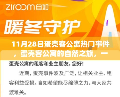 11月28日蛋壳客公寓热门事件，蛋壳客公寓的自然之旅，一次心灵的洗涤与重生