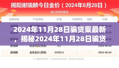 揭秘，2024年11月28日骗贷案最新进展与深度剖析