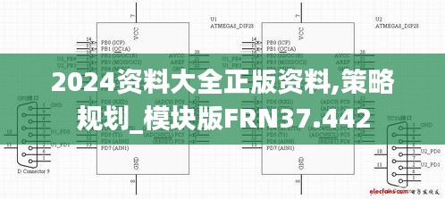 2024资料大全正版资料,策略规划_模块版FRN37.442