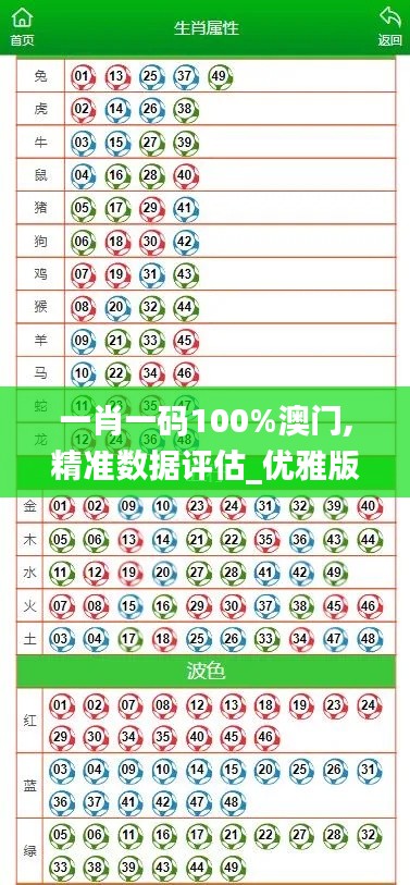 一肖一码100%澳门,精准数据评估_优雅版RNF7.786