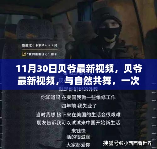 11月30日贝爷最新视频，贝爷最新视频，与自然共舞，一次远离尘嚣的心灵之旅