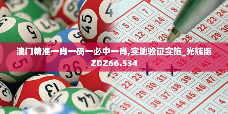 澳门精准一肖一码一必中一肖,实地验证实施_光辉版ZDZ66.534