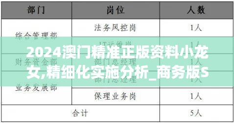 2024澳门精准正版资料小龙女,精细化实施分析_商务版SCO23.124