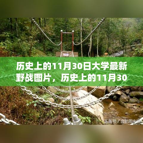 11月30日大学野战，历史图片揭示励志故事与变革力量